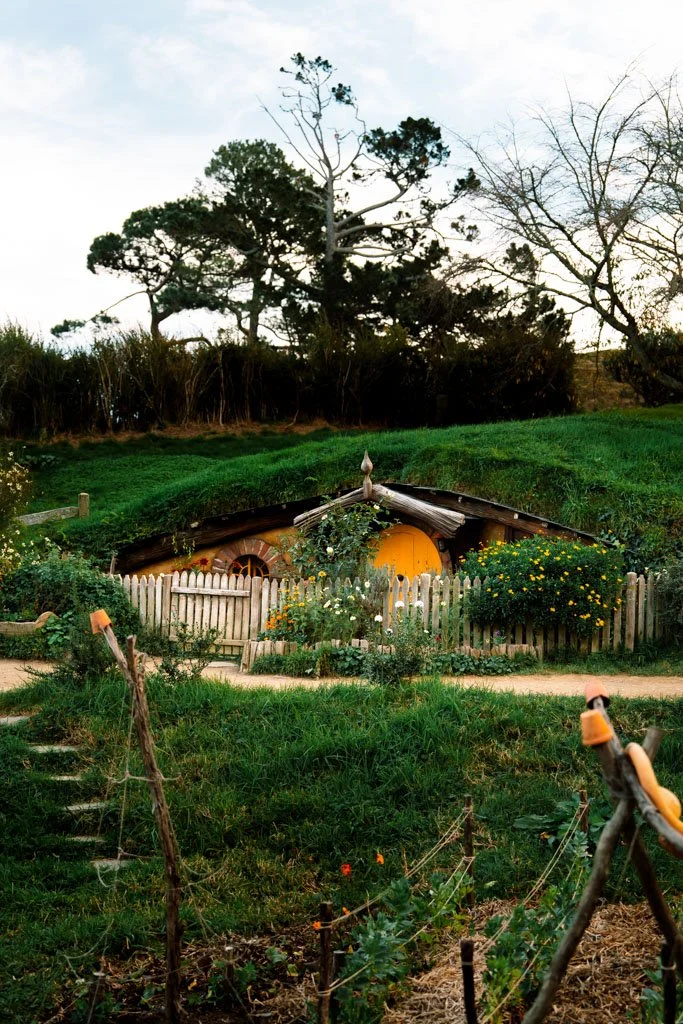 The best day trips from Auckland 