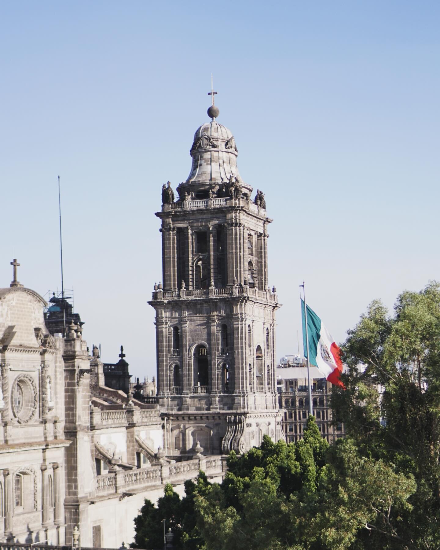 In May I went back to Mexico City. 

I have really felt in the past few years that I&rsquo;m not a city person, that I&rsquo;m always looking to get deeper into nature. But CDMX flipped that for me. Maybe I just needed to find the right city. 

After
