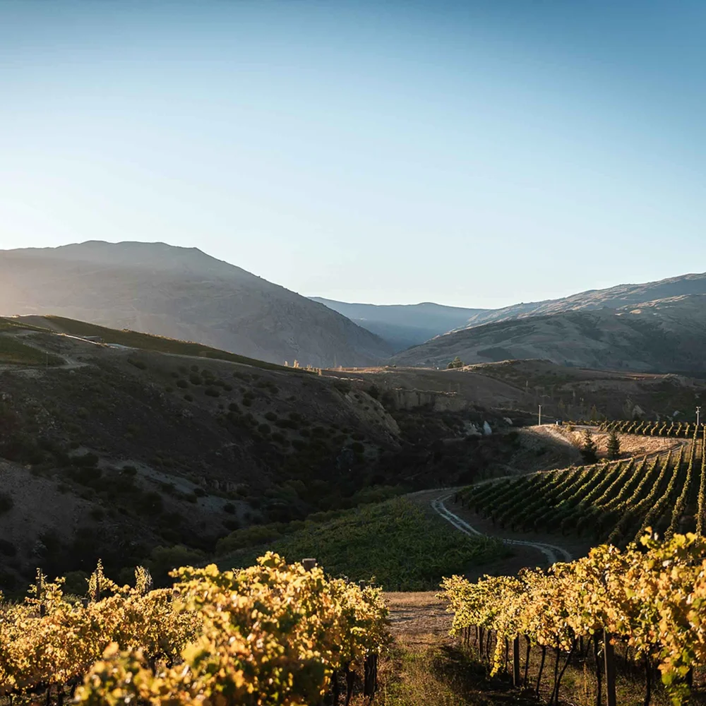 Central Otago beauty - Photo via Mt Difficulty