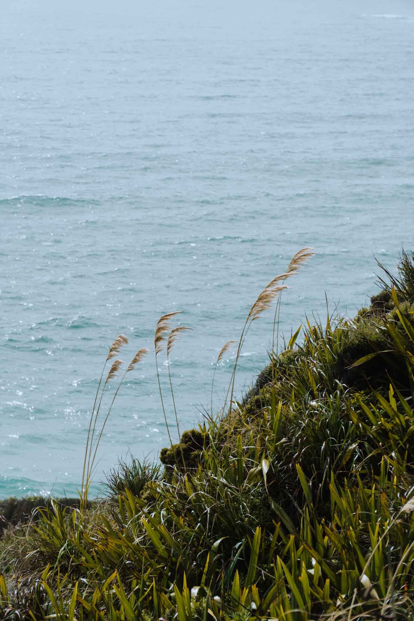 summer-coast-new-zealand.jpg