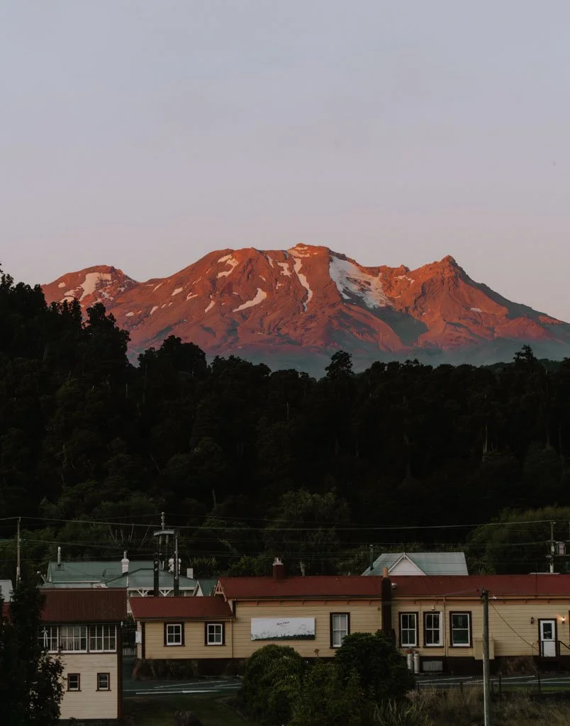 Driving from Auckland to Wellington: A road trip itinerary
