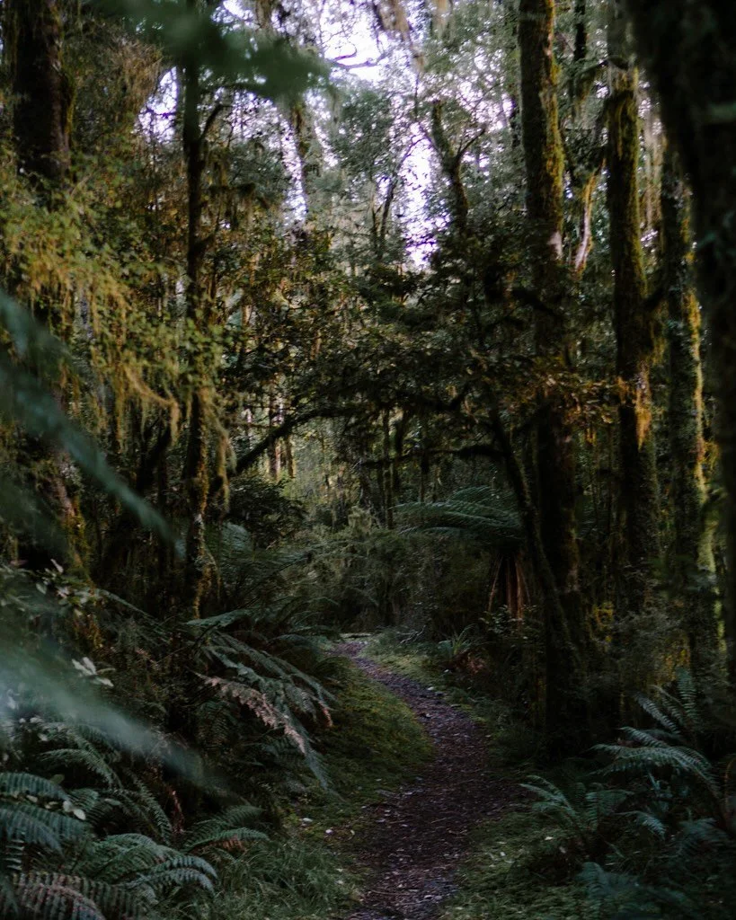 I spent a night completely alone at this little hut at the end of a path through the mossy forest. 

So much moss! A beautiful, enchanted, eerie forest with all that moss, and the wind rattling the tree branches together, and the cold drawing a fog d