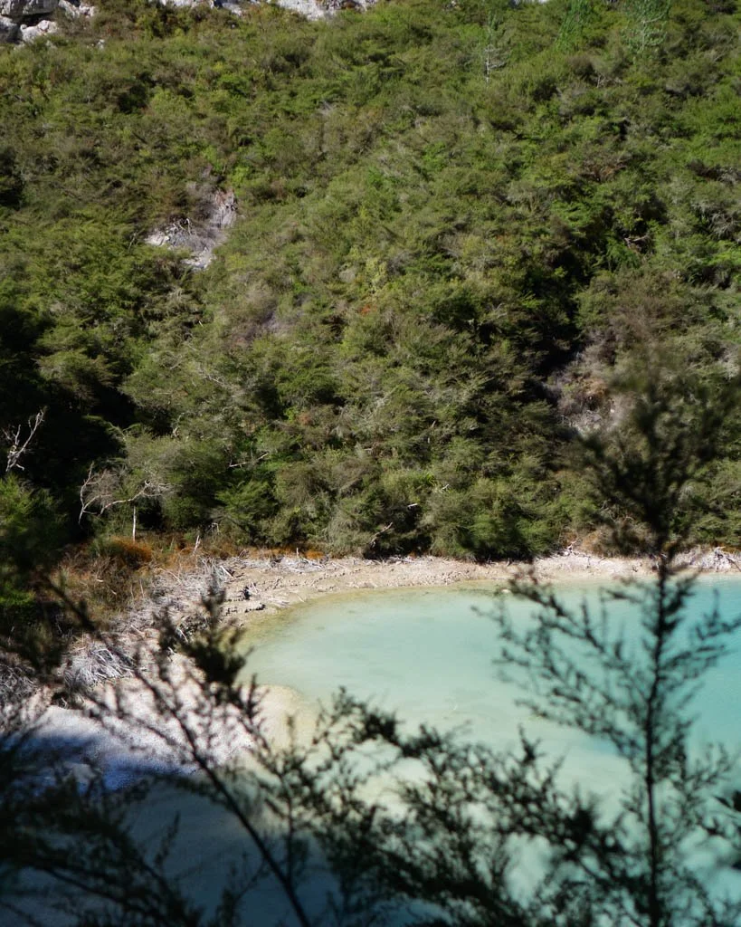 rotorua-crater-lake.jpg