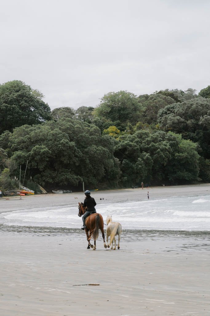 waiheke-5.jpg