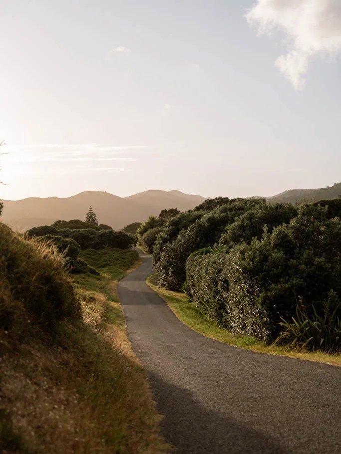 A few photos from Great Barrier Island, where my most enduring impression might be of empty roads, many of them leading to beaches, or campgrounds by beaches. 

How precious to still have places like this in Aotearoa, where the driver of almost every