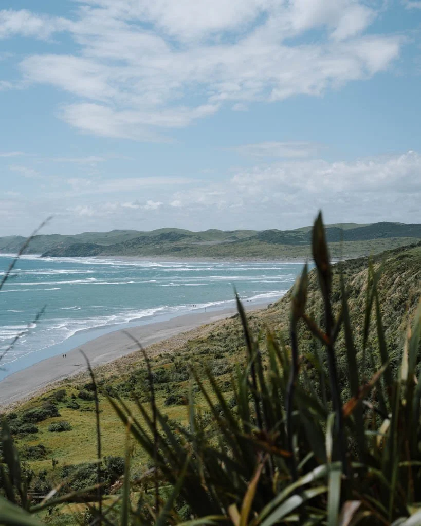 raglan-coastline.jpg
