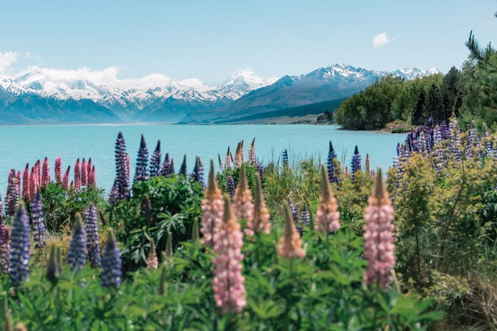 A two week South Island road trip itinerary