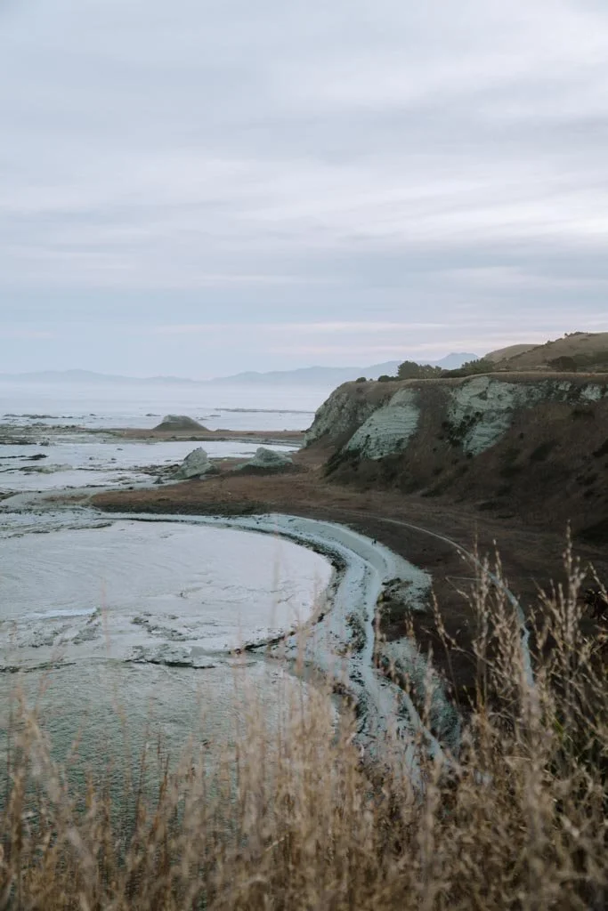 kaikoura-new-zealand-coast.jpg