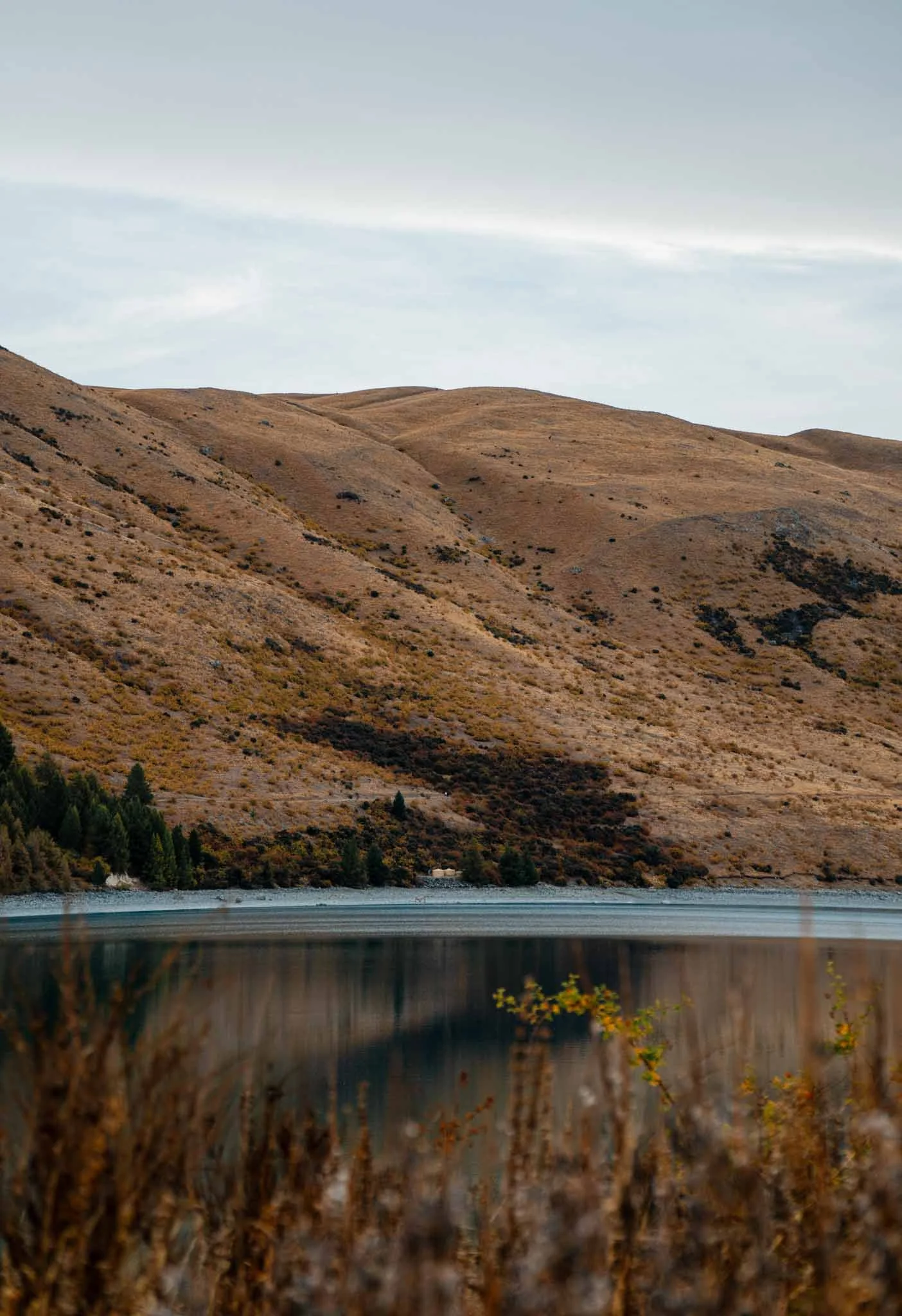 lake-tekapo-fall-colours.jpg