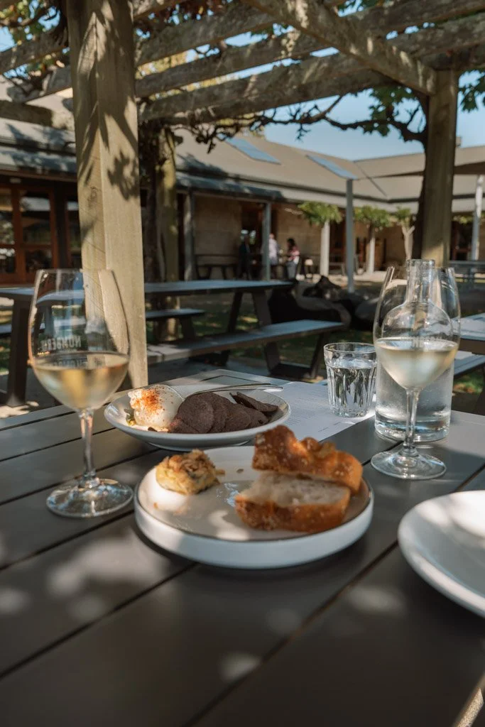 Glasses of wine on a table with plates of food, and grape vines on a trellis overhead