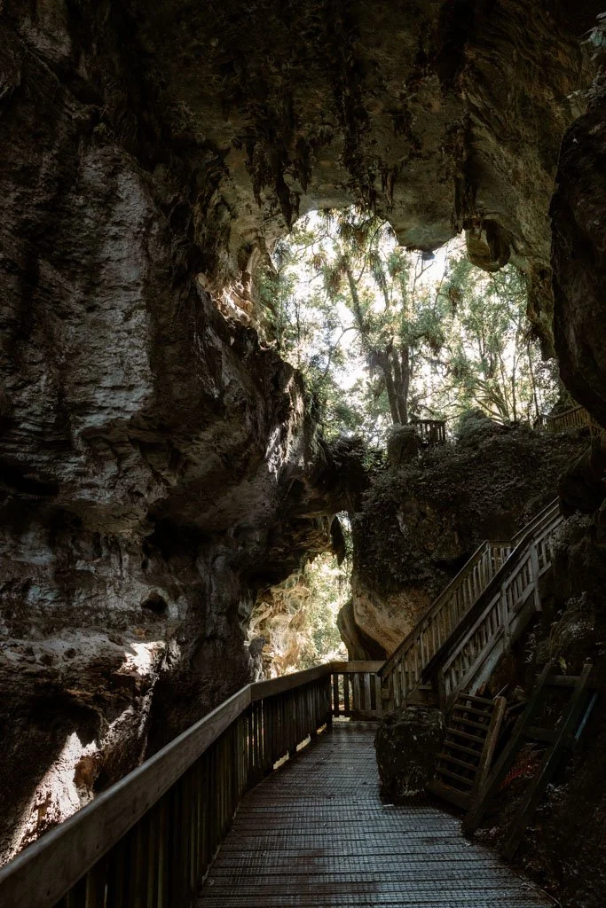 Wooden stairs lead to a viewpoint of Mangapohue Natural Bridge