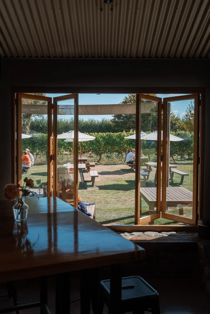 A view out a window at picnic table with umbrellas in front of rows of vines