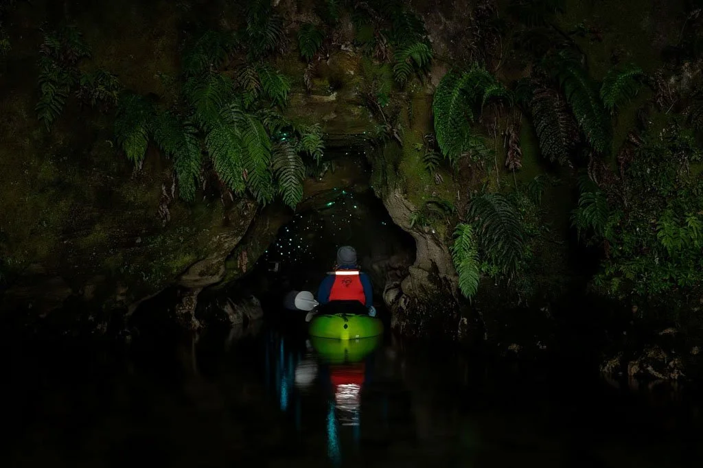 A person kayaks into a small cave on a lake, with glow worms overhead