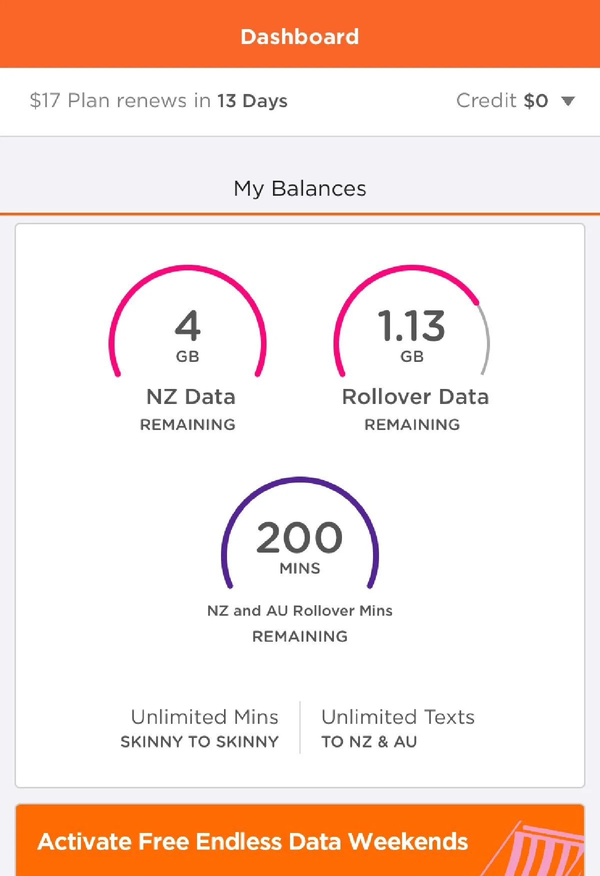 skinny mobile dashboard