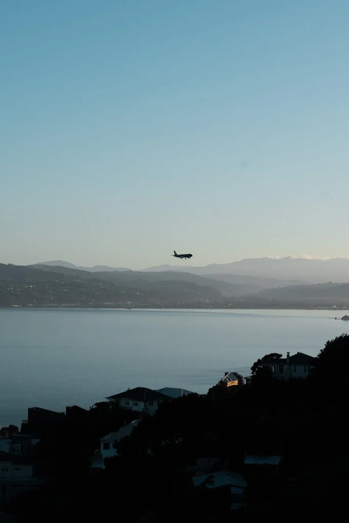 A plane flies in low over suburbs in Wellington