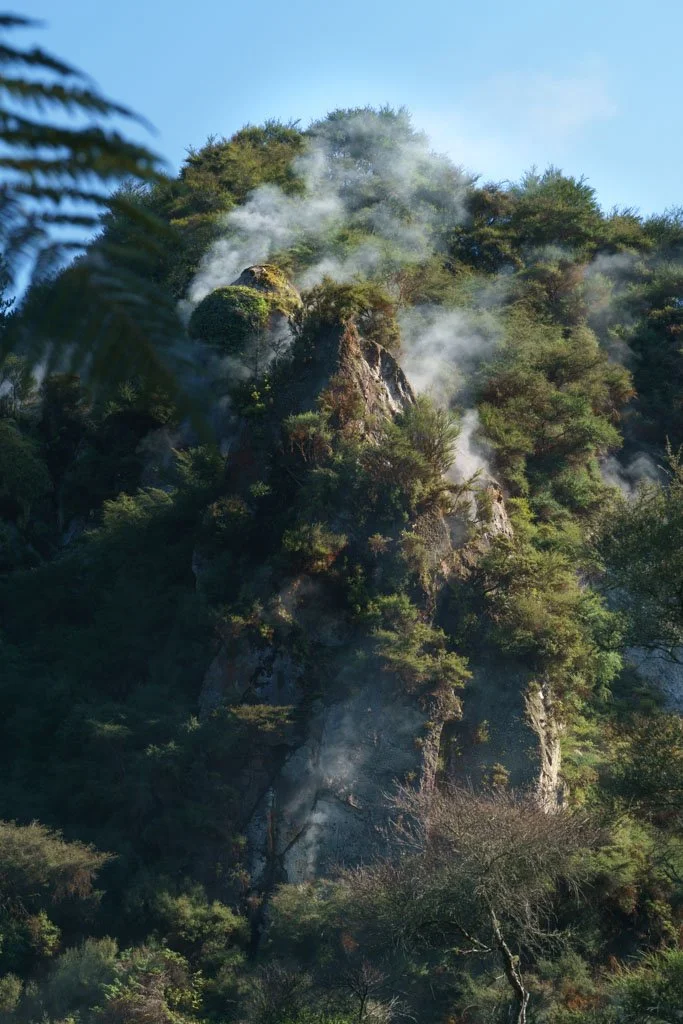 Steaming cliffs at Waimangu Volcanic Valley