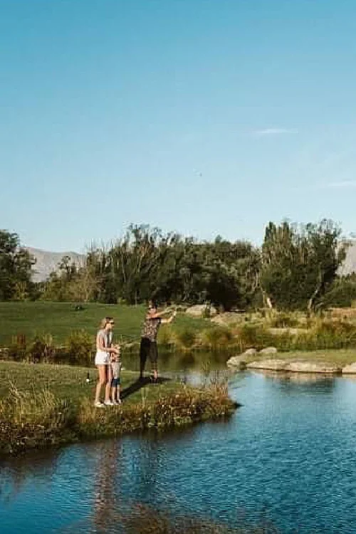 21 EPIC Things To Do In Wanaka, New Zealand — Petrina Darrah