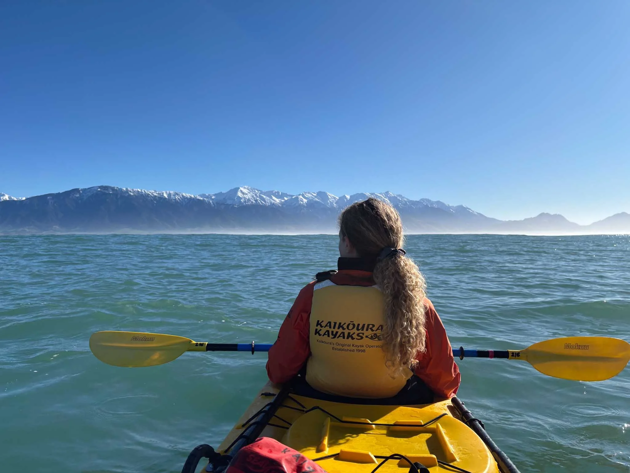 A person sits in a kayak looking towards the Kaikoura mountains, wearing a lifejacket that reads 'Kaikoura kayaks'