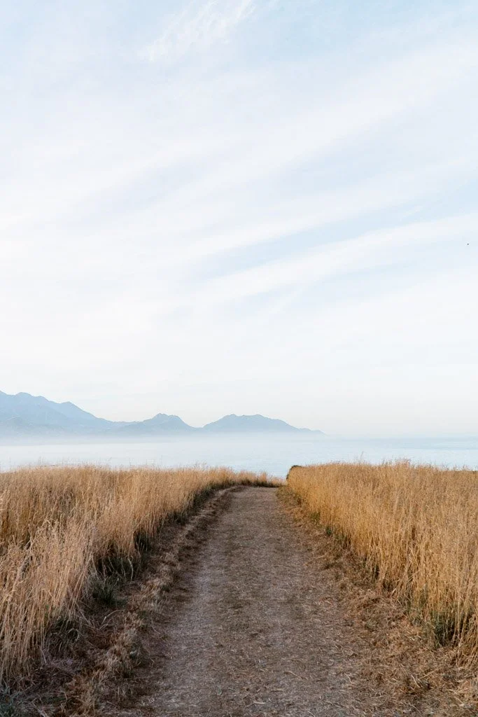 A path leads through golden grass to a view of the sea and mountains beyond