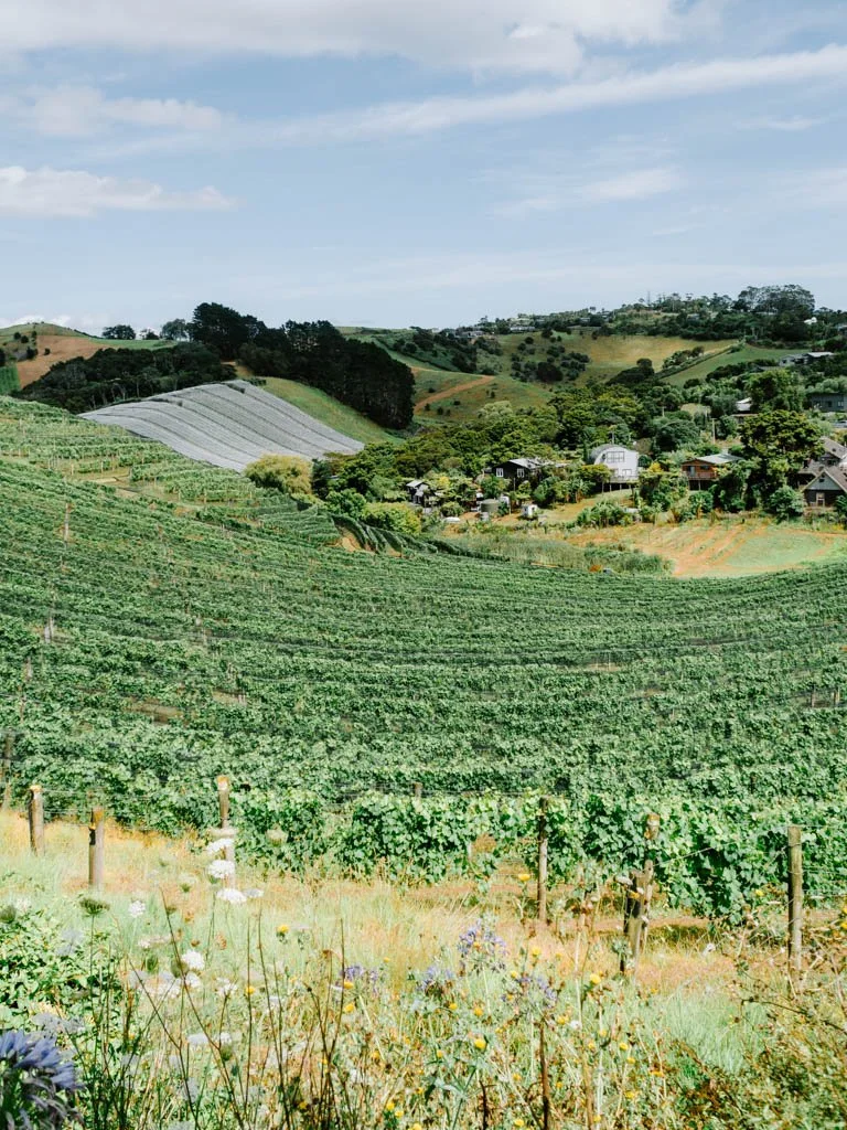 A completely unscientific list of the best Waiheke wineries to visit (by a non-expert wine drinker)