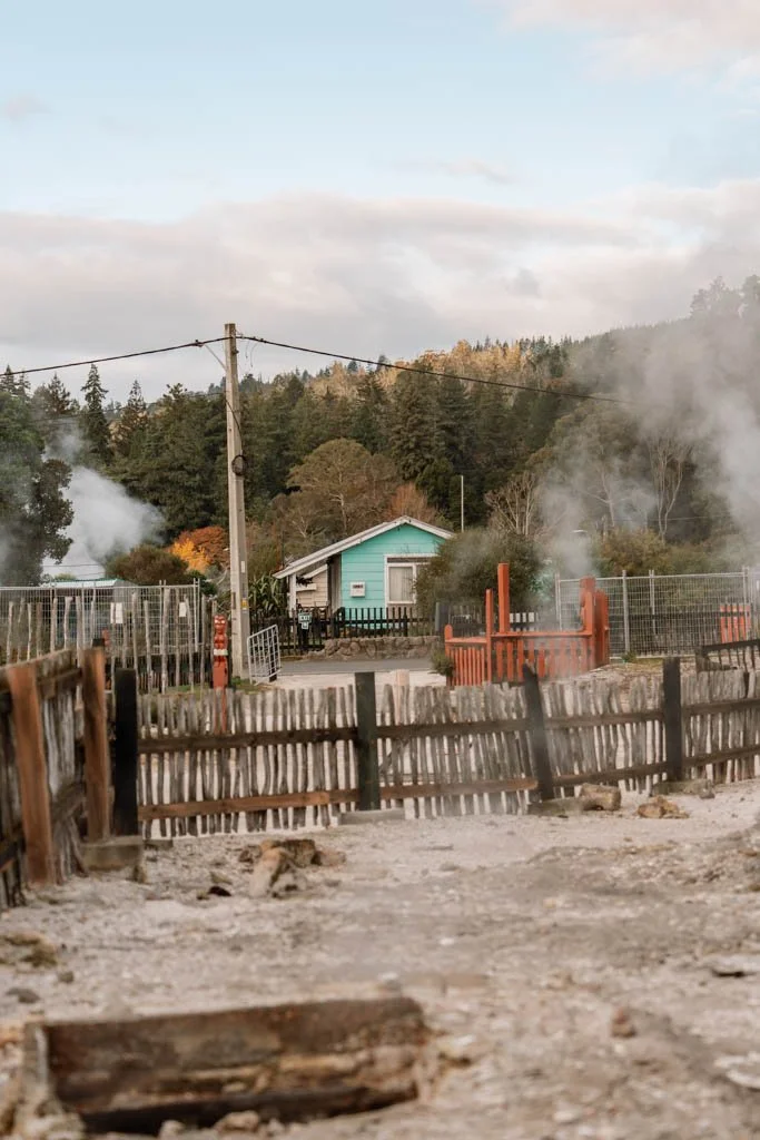 A green house sits amongst puffs of steam and wooden fences in the geothermal village Whakarewarewa