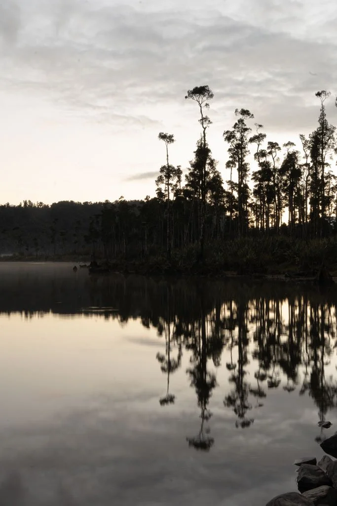 Trees are reflected in a calm lake at sunrise