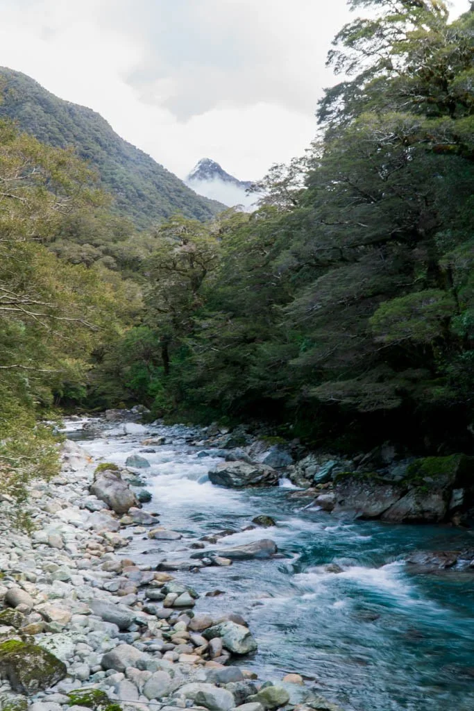 A blue river flows over rocks in forest on the Milford Road