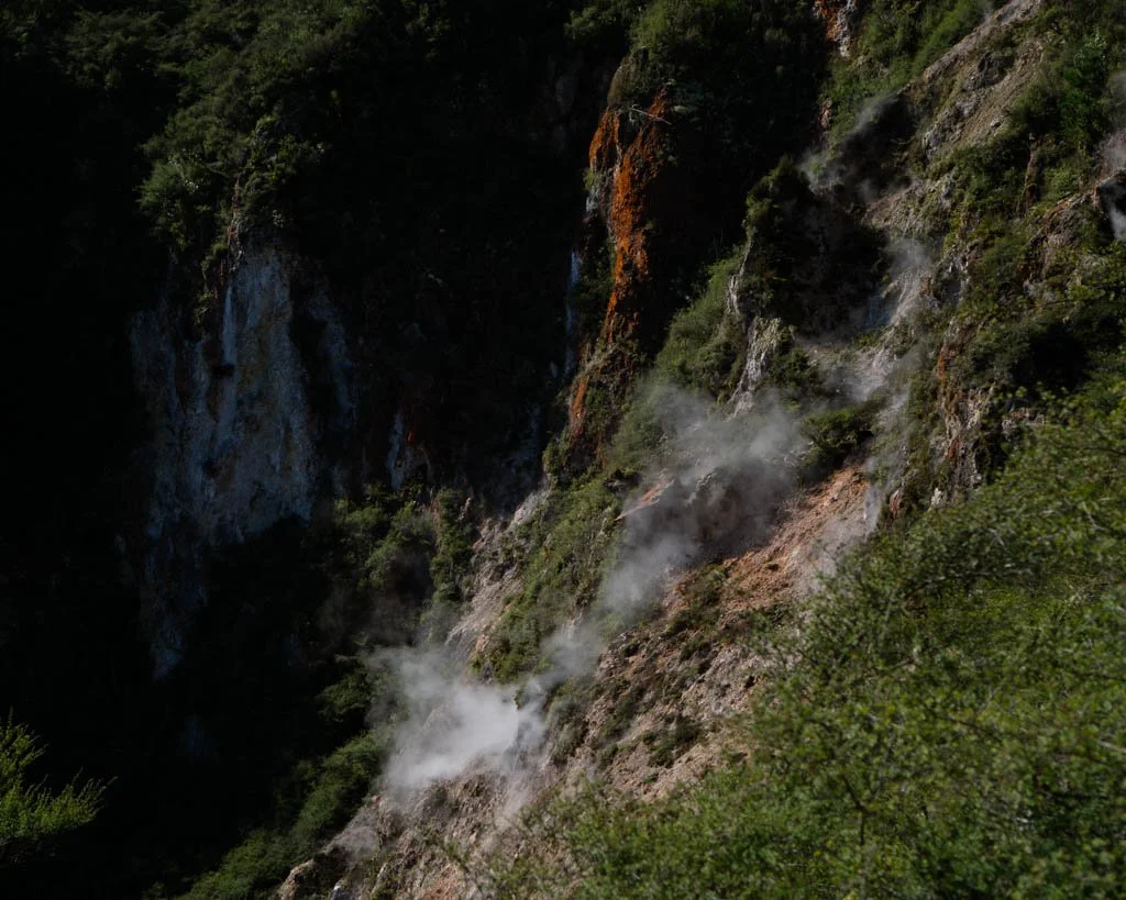Steaming cliffs near Rotorua