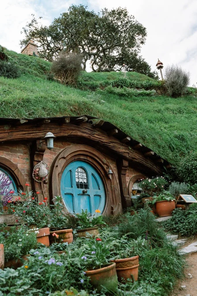 The blue door of a Hobbit hole is surrounded by terracotta plant pots