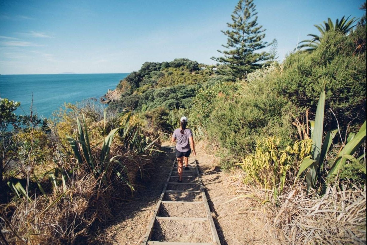 How to Get Around Waiheke Island by Bus, Car, Bicycle and More