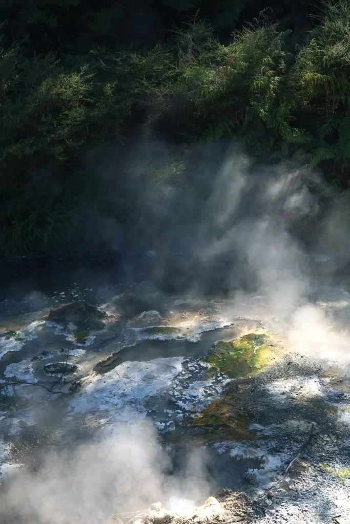 Colourful steaming pools by the side of the trail at Waimangu