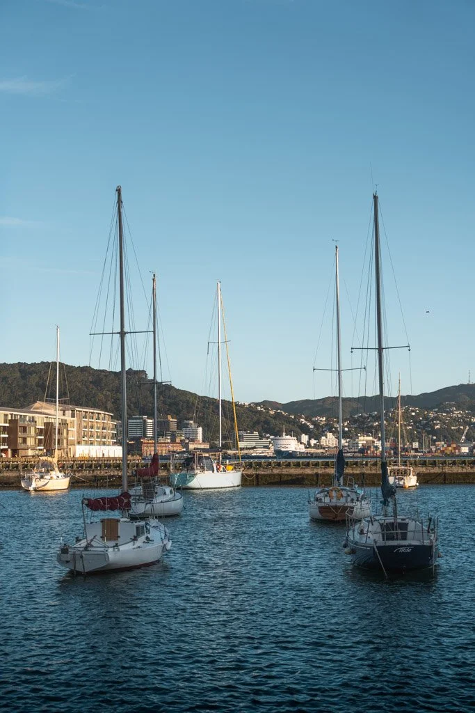 Yachts in a marina in the centre of Wellington, bathed in a morning light