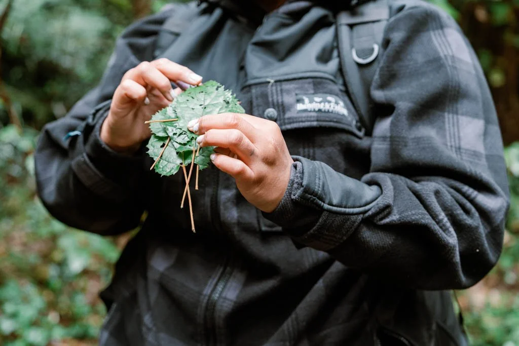 A Maori guide holds up leaves from a native New Zealand tree