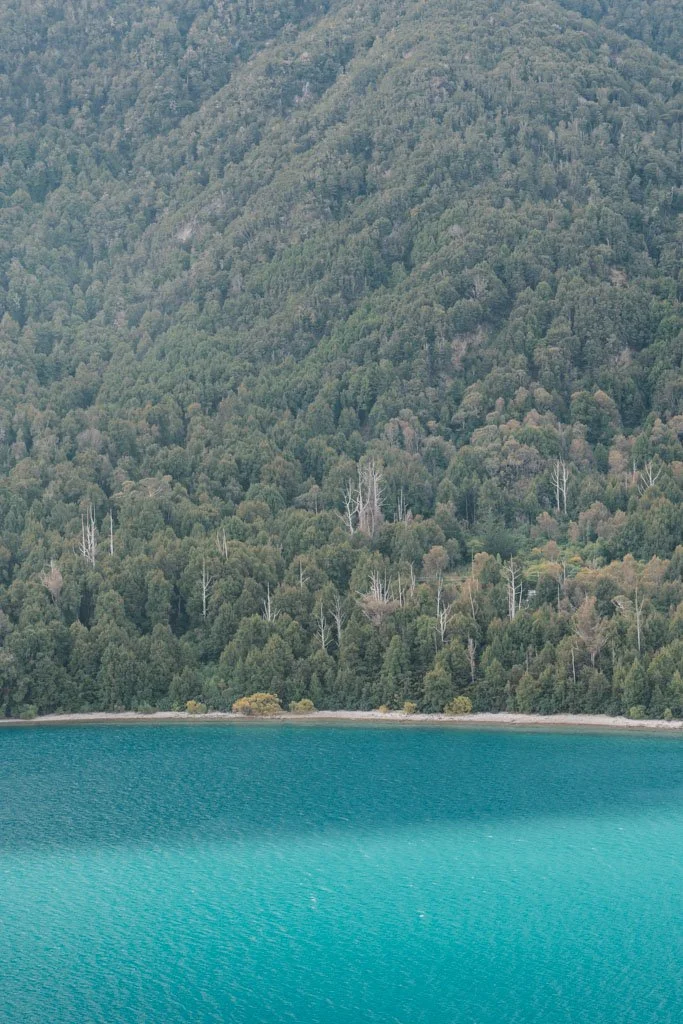 Bob’s Cove, Queenstown, has bright blue water and trees down to the shore