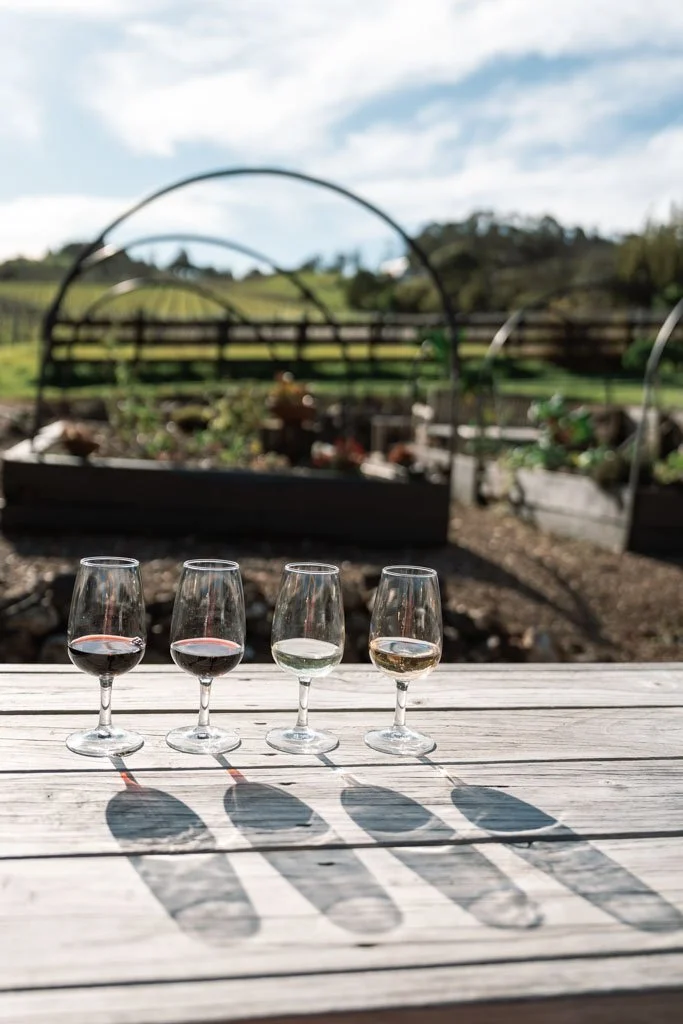 Glasses of wine lined up on a table at Postage Stamp on waiheke Island