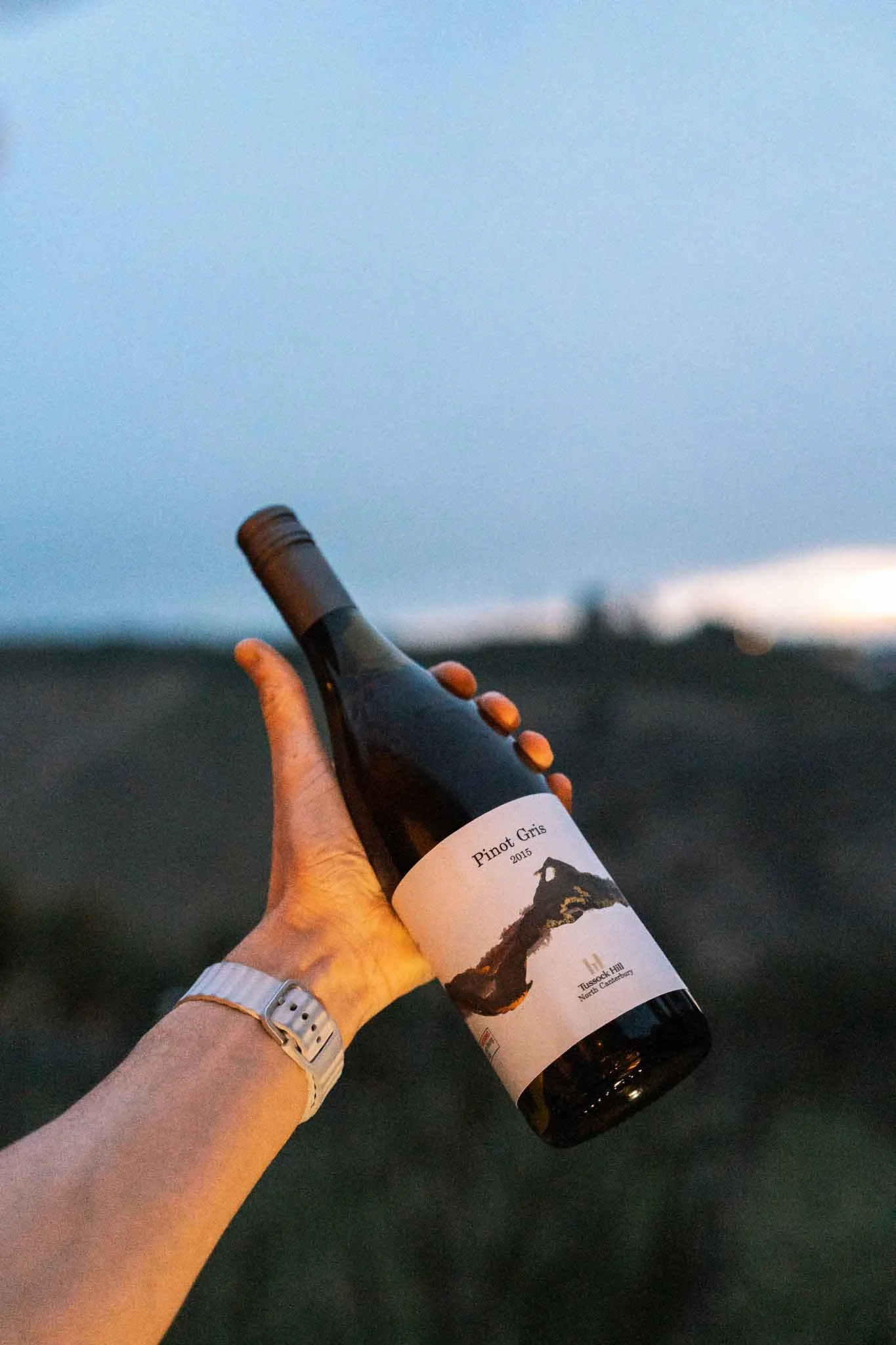 A man holds a bottle of wine
