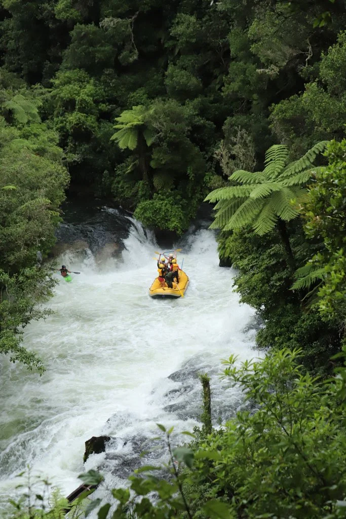 A yellow boat sits in thrashing white water surrounded by forest