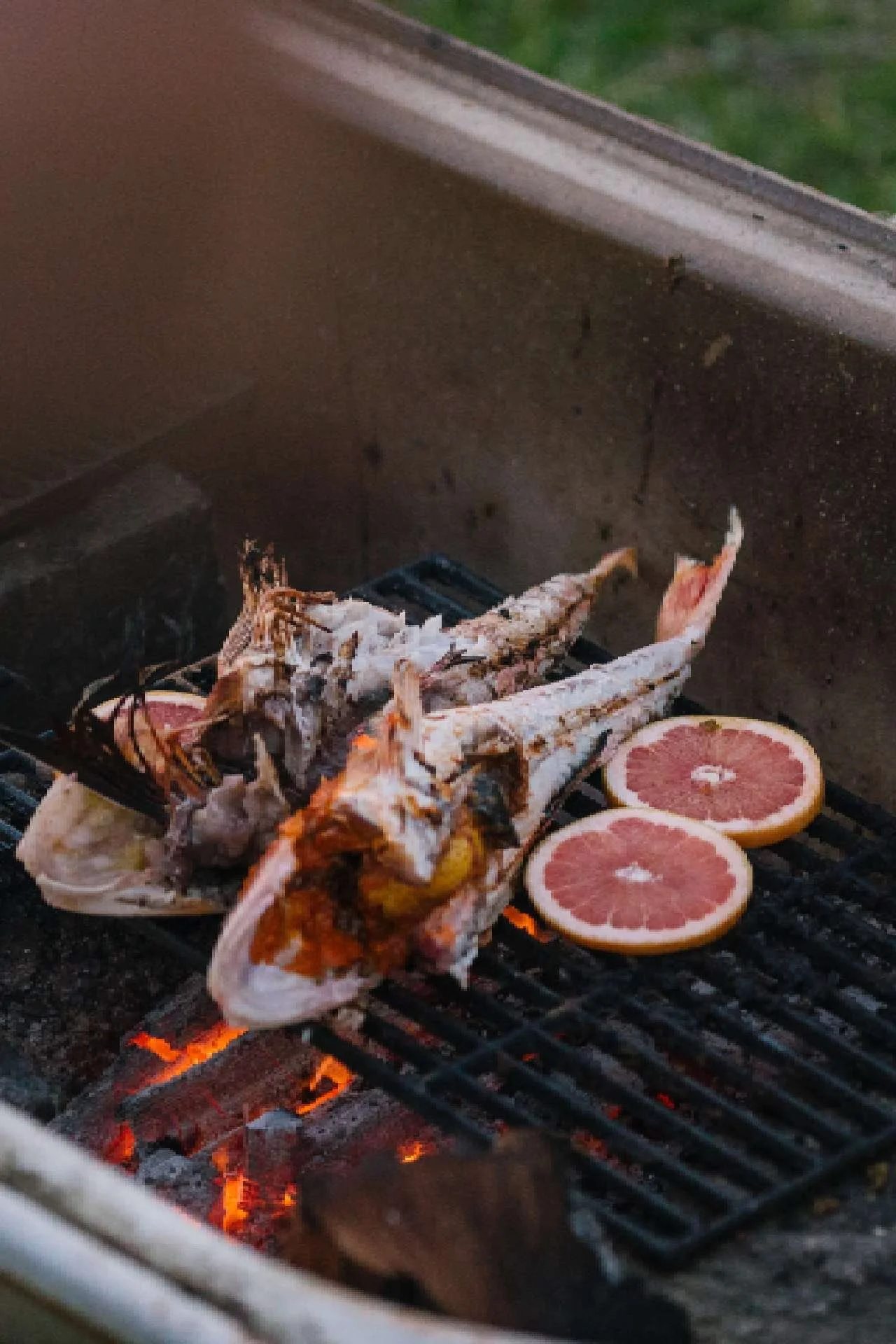 New Zealand Slang Words & Phrases (To Help You Understand Kiwis) — PETRINA DARRAH