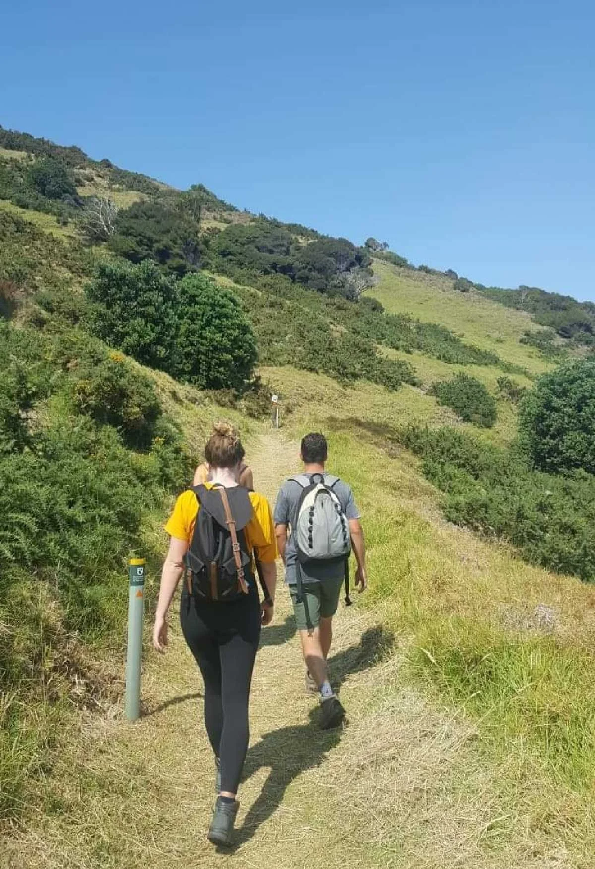 Why are New Zealanders called Kiwis? — PETRINA DARRAH