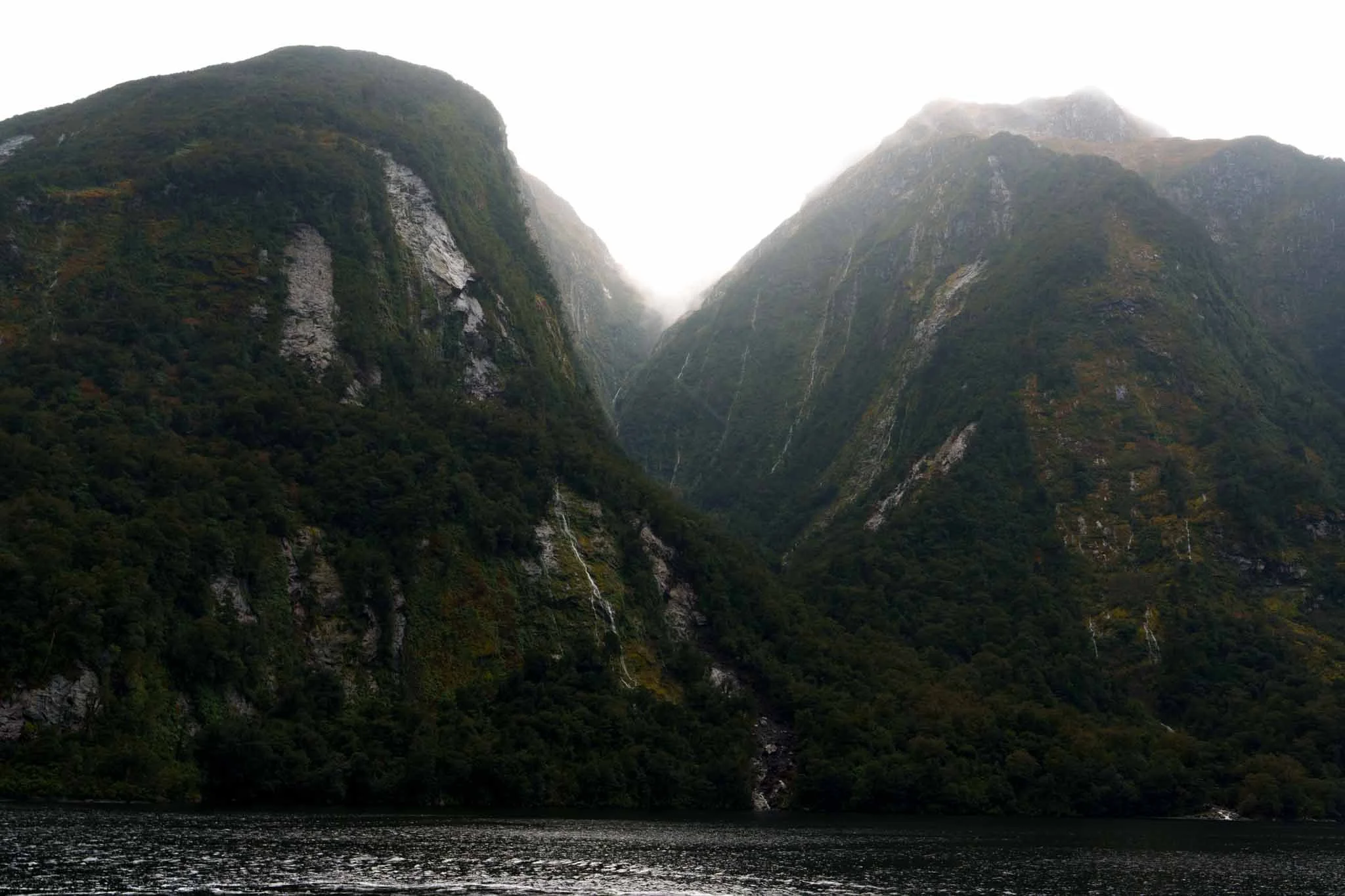 Mountains meet the sea in Doubtful Sound