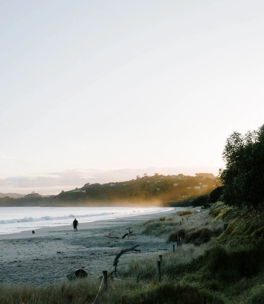 What to do on Waiheke Island: A guide for wine, beach & nature lovers