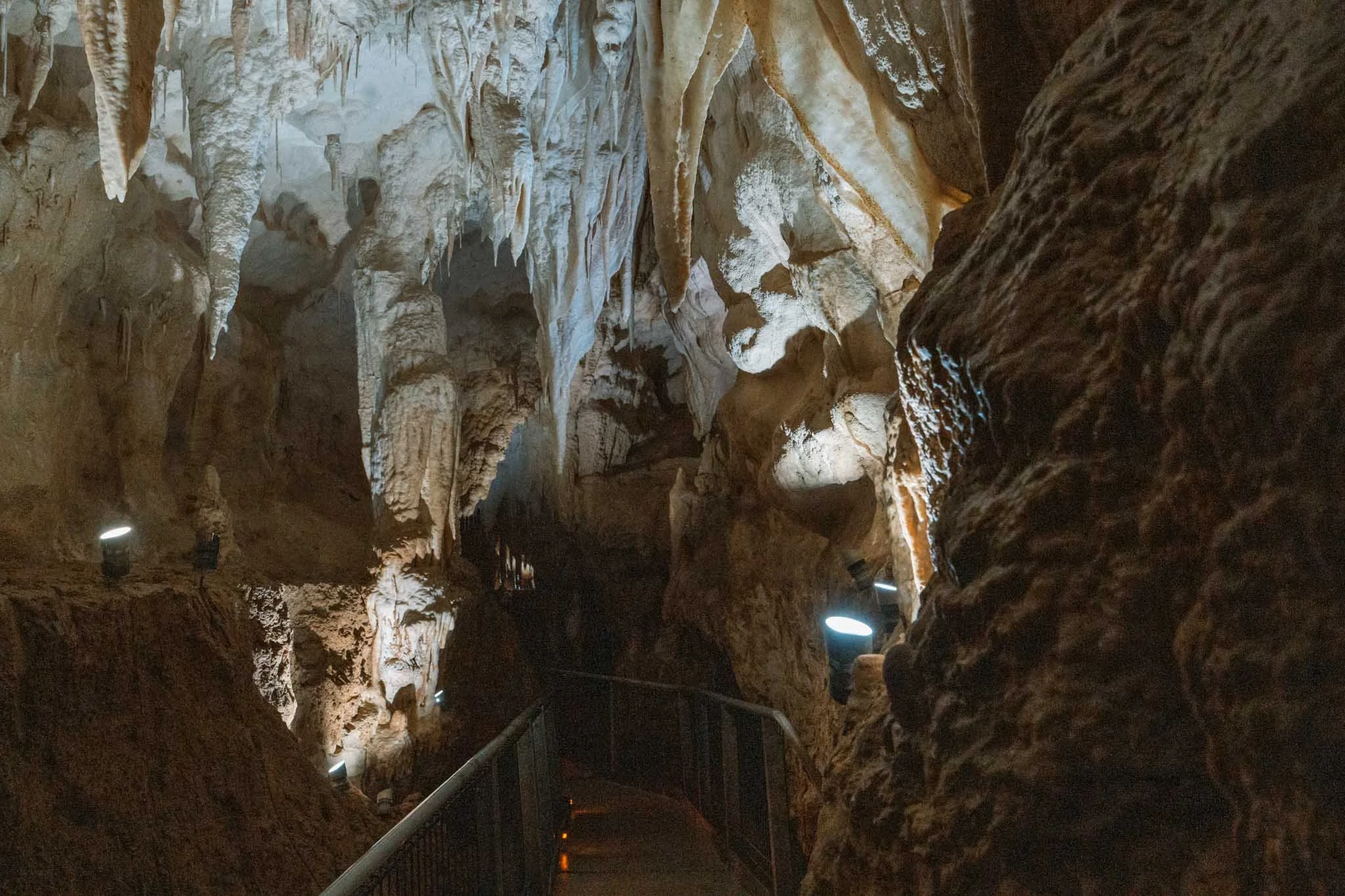 A walkway in Ruakuri Cave