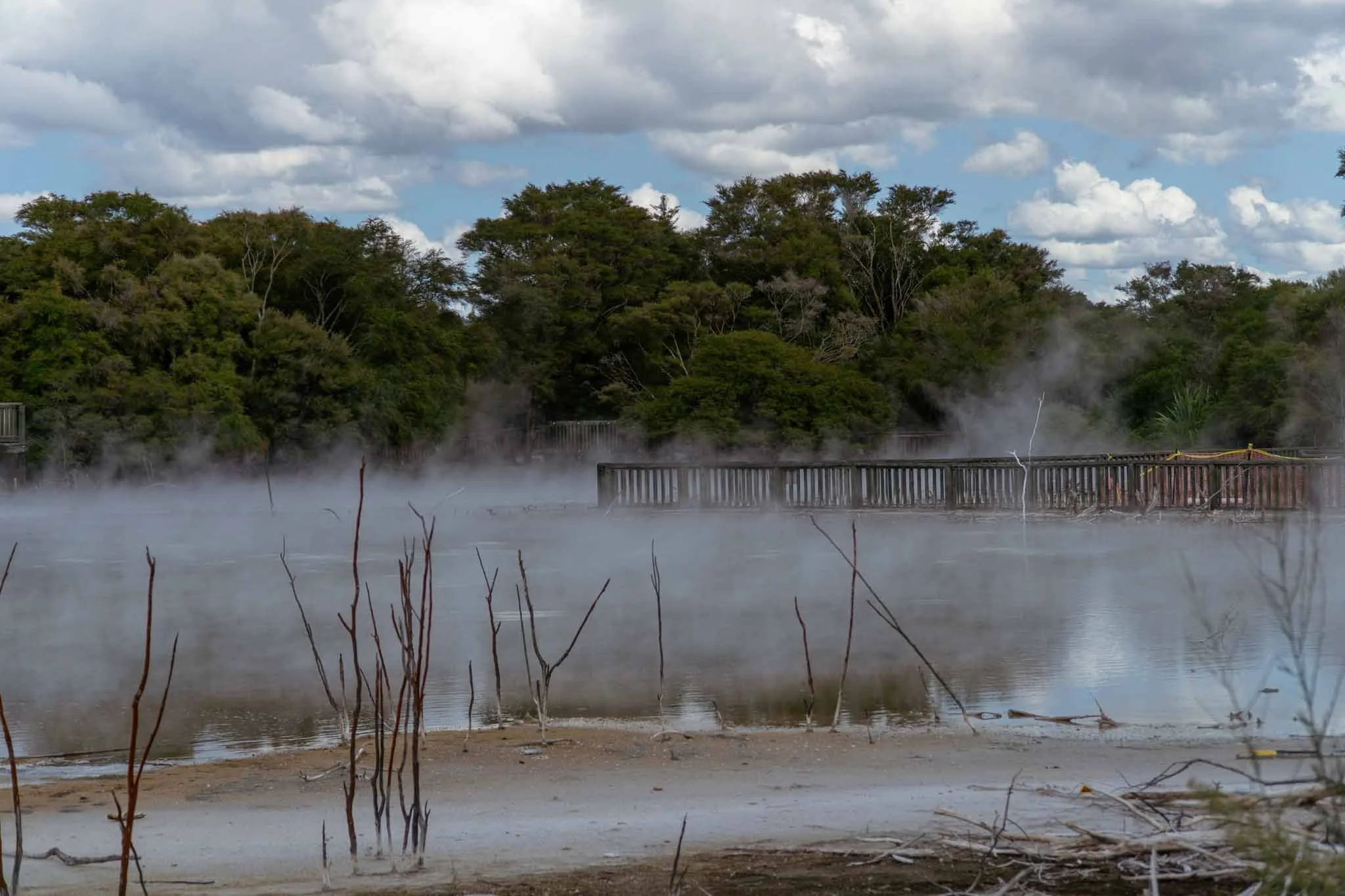 A Local’s Guide To The Best Things To See & Do In Rotorua — PETRINA DARRAH