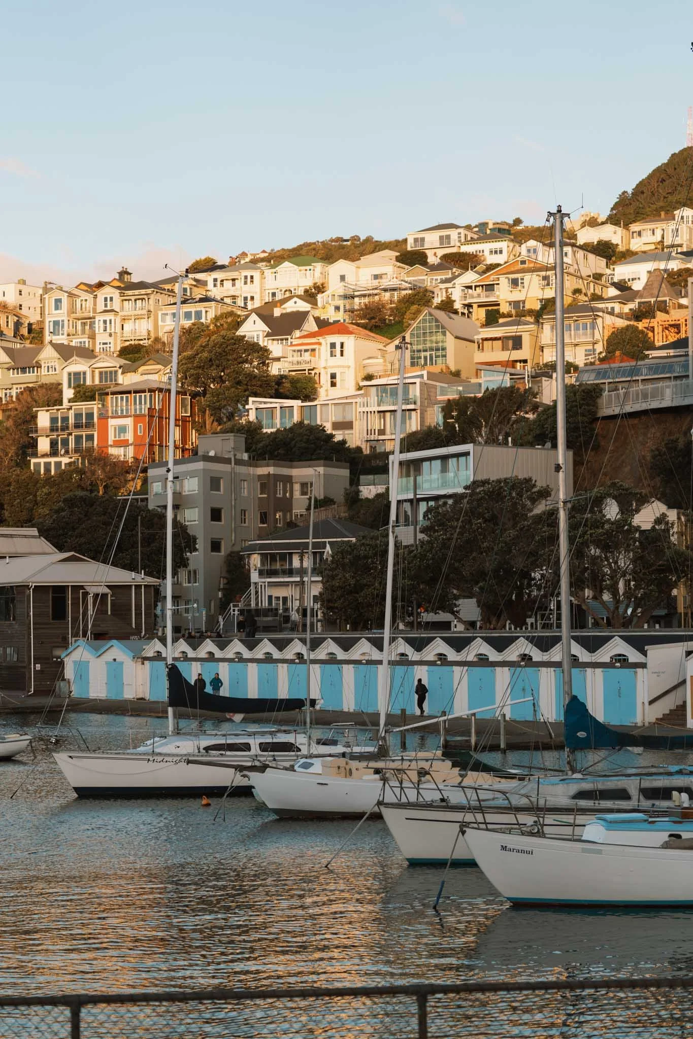 Sunset bathes the houses above Oriental parade in Wellington in a golden glow