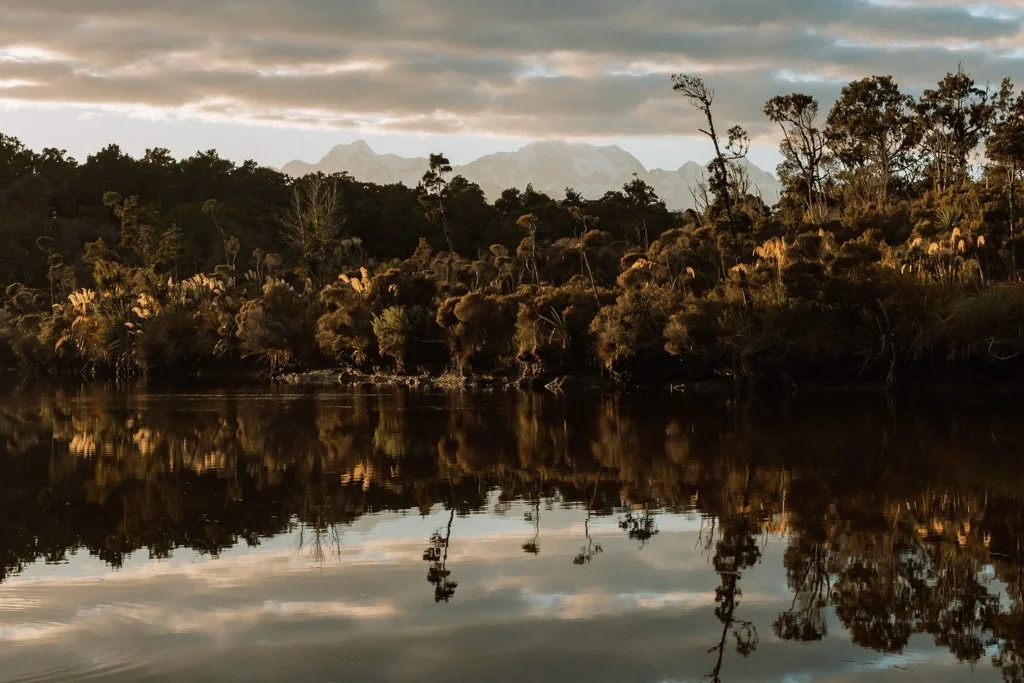 Mountains and trees reflected in still water on the west coast of the south island