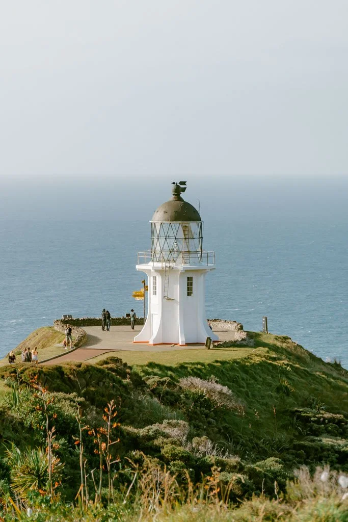 A lighthouse stands on a promonotory surrounded by flax and other native New Zealand plants