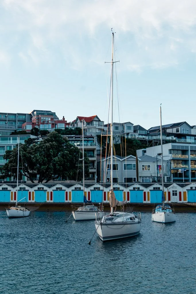 Oriental Bay boat sheds