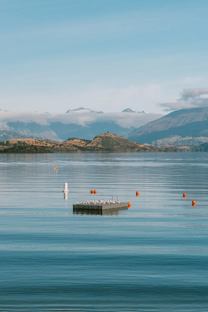 Gulls cluster on a pontoon bobbing gently in Lake Wanaka with mountains in the background