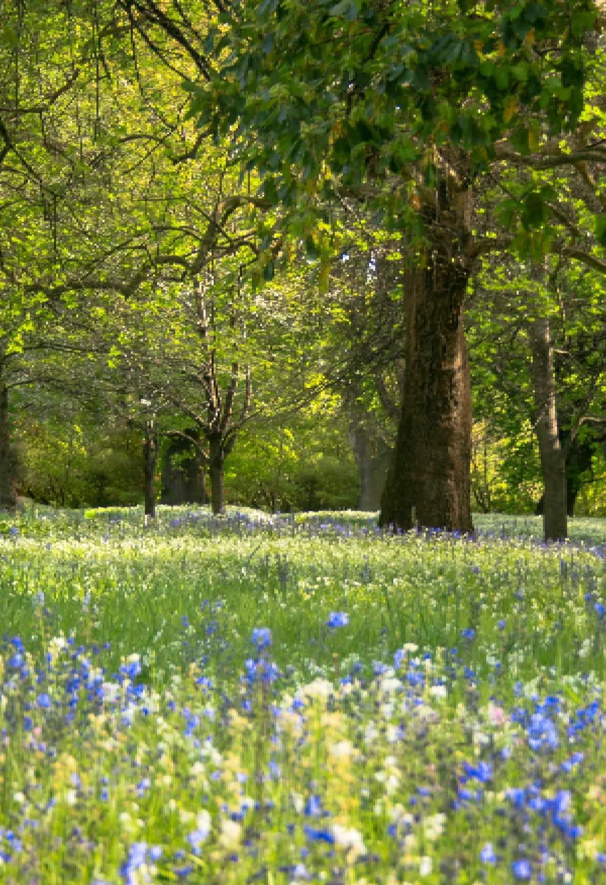 New Zealand Weather By Month The Best Time To Visit For Sunshine, Snow