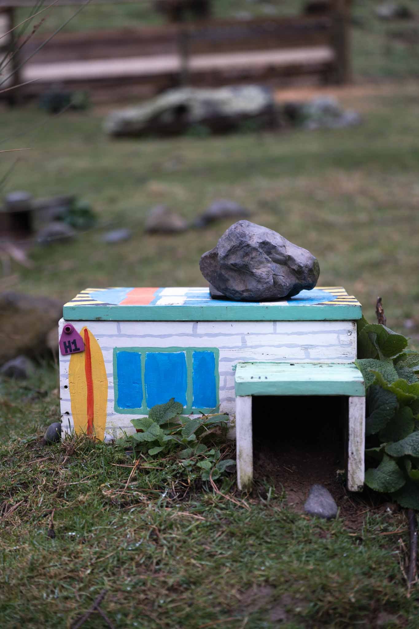 A penguin house at Pohatu Penguins
